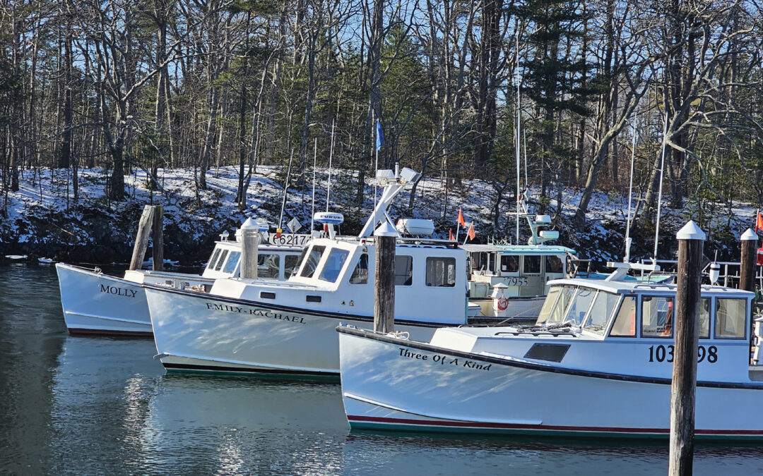 Boat Yard News